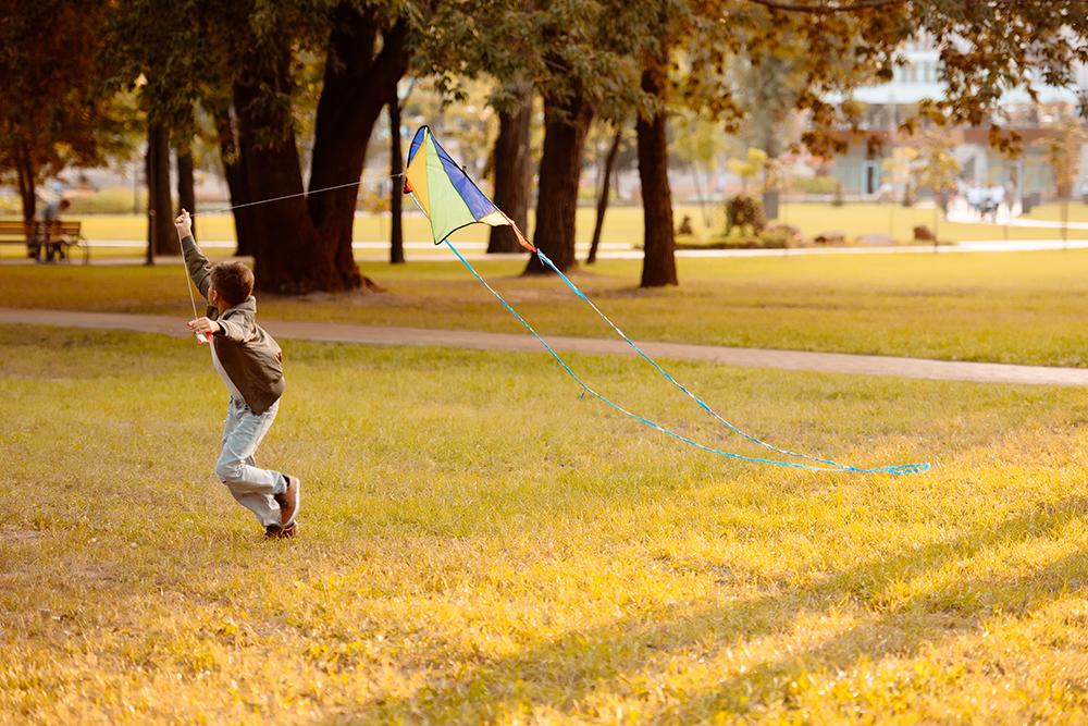 Fly a kite on National Big Wind Day